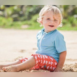 Boy’s Short Sleeve Rash Guard Set – “Dino-Mite”